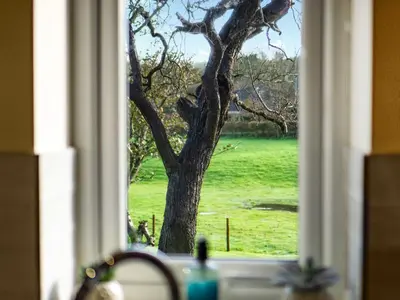 a window with a view of a tree in a field at Bay Bungalow in Bolton le Sands