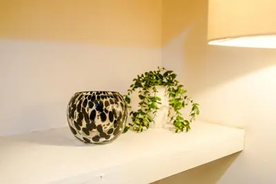two plants sitting on a shelf in a room at Modern 3BR House in Liverpool - Garden in Liverpool
