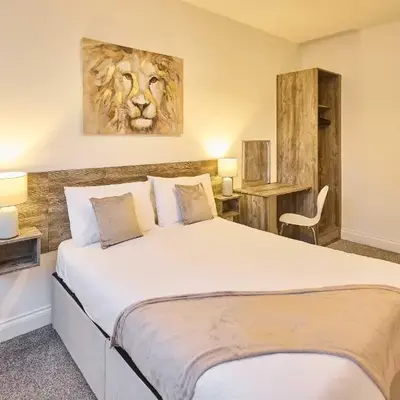 Host & Stay - Illumination Suite