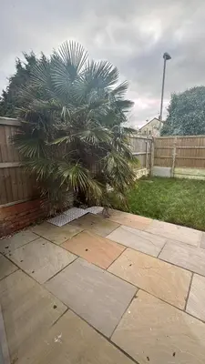 a palm tree in a yard next to a fence at Modernised fisherman's house near Lytham centre in Brown Moss Side