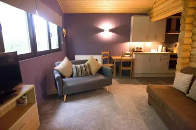 a living room with a couch and a kitchen at Log cabin in private woodland with lake in Borwick