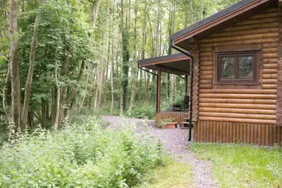 a cabin in the woods with a path leading to it at Log cabin in private woodland with lake in Borwick