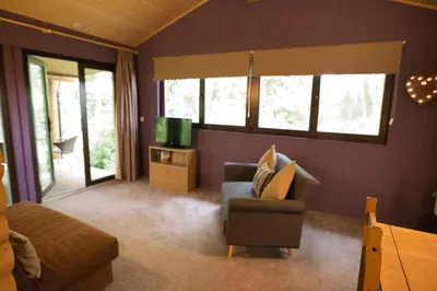 a living room with a couch and a tv at Log cabin in private woodland with lake in Borwick