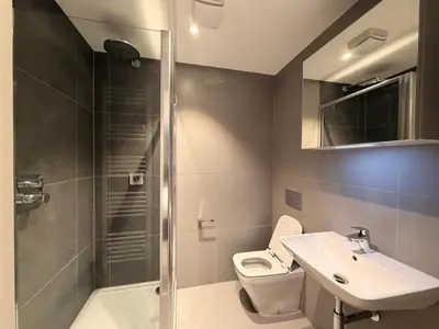 a bathroom with a shower and a toilet and a sink at The Barn in Courtyard in Ulverston