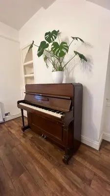 a piano with a potted plant on top of it at Liverpool Maple House 3Bed - Walk to Anfield stadium in Liverpool