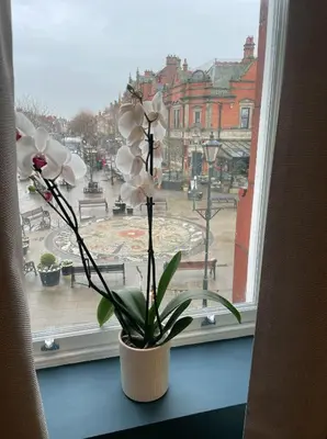 a window with a potted plant on a window sill at Auberge in Lytham St Annes