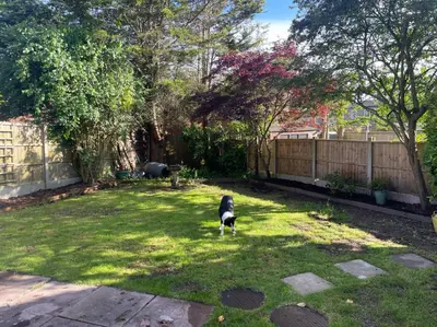 a dog standing in the grass in a yard at 1 Bed Apartment With Private Garden in Southport