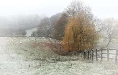 a snowy field with a fence and animals on a hill at Cosy Parbold Apartment Steps form train station in Parbold
