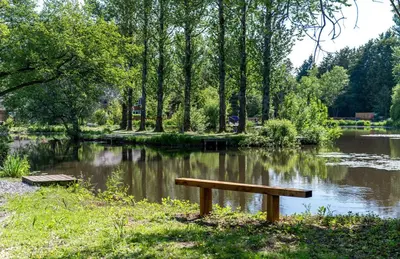 a bench in a park next to a pond at Bowland Lakes Leisure Village in Forton