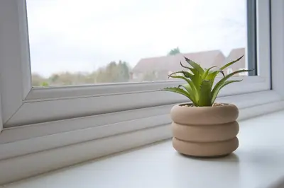 a plant in a vase sitting on a window sill at Westhoughton 3 Bedroom House - Free Parking in Westhoughton