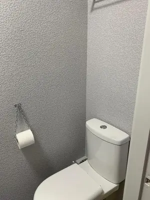 a bathroom with a toilet and a roll of toilet paper at The Woodleigh family hotel in Blackpool