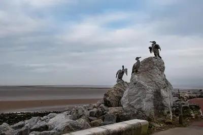 a group of birds perched on a rock near the beach at The Midland in Morecambe