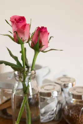 two pink roses in a glass vase on a table at Stanley Lodge Farmhouse in Cockerham