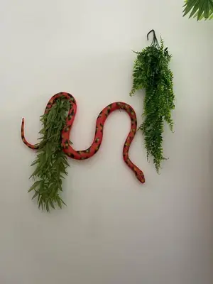 a snake hanging on a wall with green leaves at The Blue Moon in Blackpool