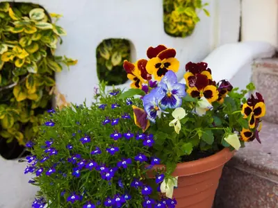 a flower pot with colorful flowers in it at The Heidi Bed & Breakfast in Southport