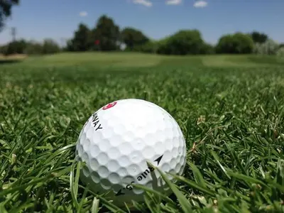 a white golf ball sitting in the grass at The Heidi Bed & Breakfast in Southport