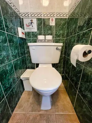 a bathroom with a toilet and a roll of toilet paper at Bella Vista Lodge in Blackpool