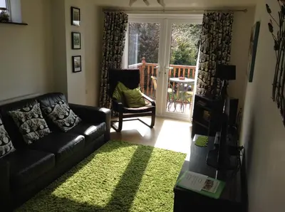 a living room with a black couch and a green rug at Merok Lodge in Great Eccleston