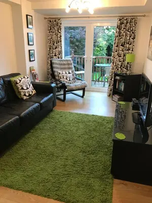 a living room with a black couch and a green rug at Merok Lodge in Great Eccleston