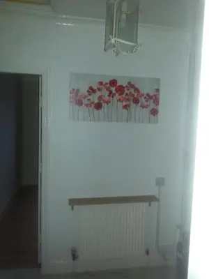 a painting of red flowers on a white wall at Aparthotel Coniston in Blackpool