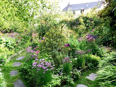 a garden with purple flowers and plants at Woodburn Cottage in Soutergate