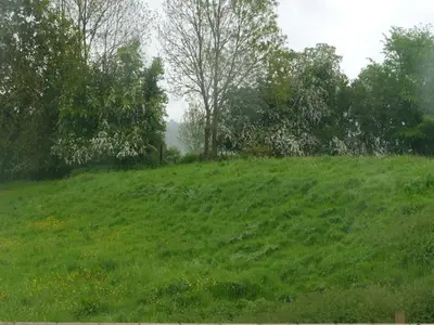 a green grassy hill with trees in the background at 3 Millstones Inn in West Bradford