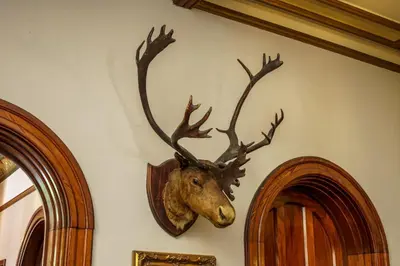 a large deer head hanging on a wall at Macdonald Kilhey Court Hotel in Wigan