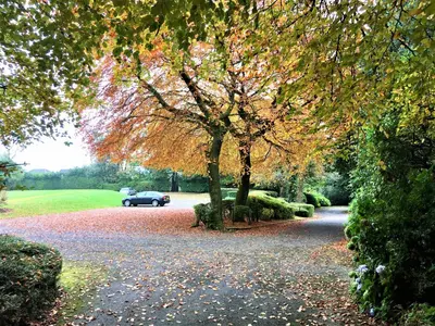a car parked under a tree on a driveway at Astley Bank Hotel in Darwen
