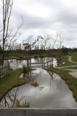 a pond in a park with trees and water at Charnock Farm in Leyland