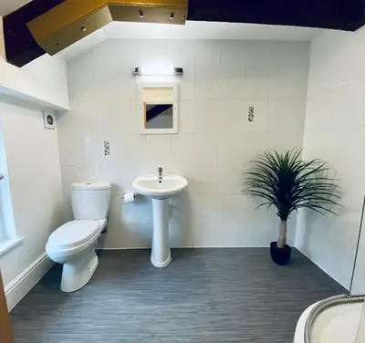 a bathroom with a toilet and a sink and a plant at Crows Hotel in Lancaster