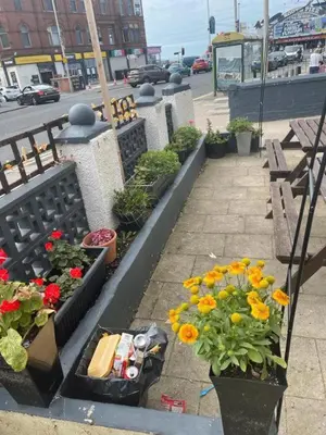 a group of plants and flowers on a balcony at Dora Hotel in Blackpool