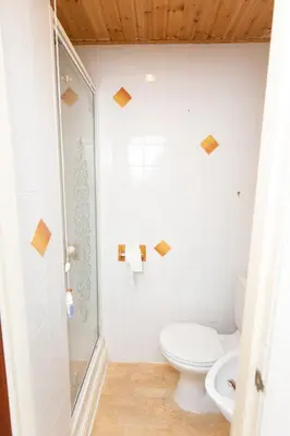 a bathroom with a toilet and a shower at The Osprey Hotel in Blackpool