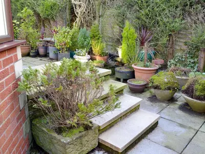 a garden with lots of potted plants in pots at Carmichael in Longridge