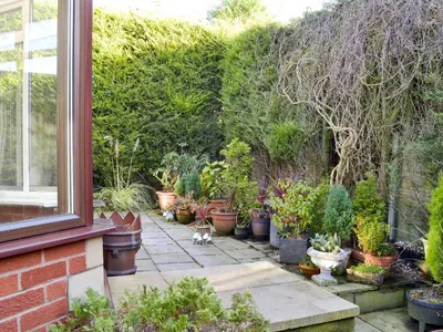 a garden with potted plants and a cat sitting on a patio at Carmichael in Longridge