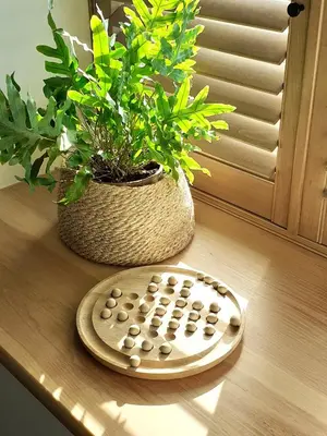 a remote control sitting on a table next to a potted plant at Lancaster Barn in Lancaster