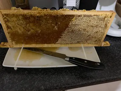 a knife sitting on a plate next to a honeycomb at Sunnyside Guest House Southport - winner of Best B&B in the country 2025-26 in Southport