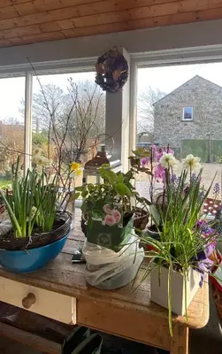 a table with potted plants on a window sill at Chapel Cottage Clitheroe Road in Waddington