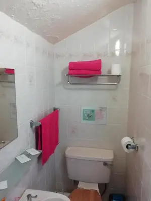 a bathroom with a toilet and a pink towel at The Shining Diamond in Blackpool
