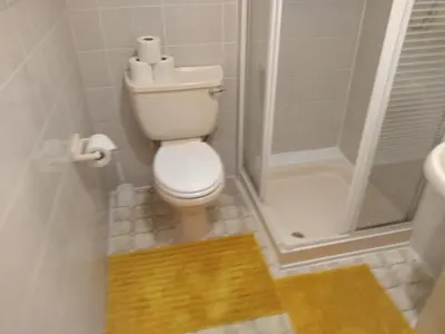 a small bathroom with a toilet and a shower at Southview Hotel in Blackpool