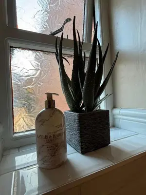 a bottle of soap and a plant on a window sill at Stable Cottage Lytham in Lytham St Annes