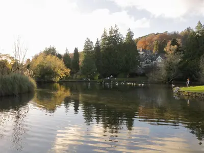 a view of a river with trees and houses at Silverdale Mount in Grange Over Sands