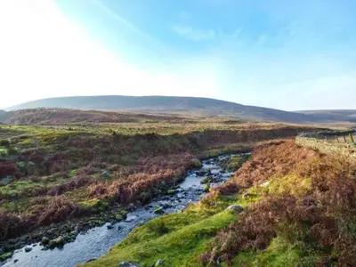 an aerial view of a river in a field at 88 Regent Street in Waddington