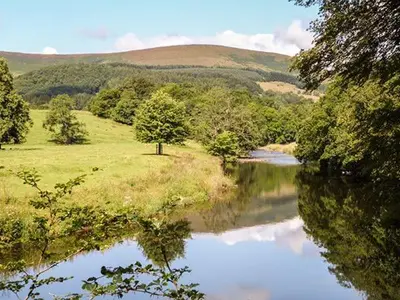 a river in the middle of a field with trees at Park Brook Retreat in Scorton