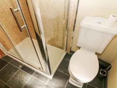 a bathroom with a toilet and a shower at Waingate Cottage in Cark