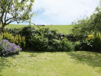 a garden with flowers and a horse in a field at Waingate Cottage in Cark