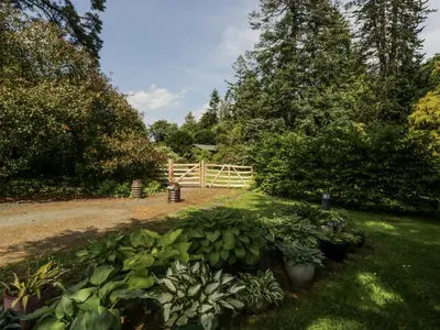 a garden with a fence and some plants and trees at Buttermere in Ulverston