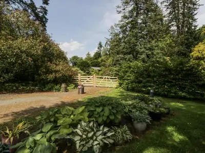 a garden with a fence and some plants and trees at Grasmere in Ulverston