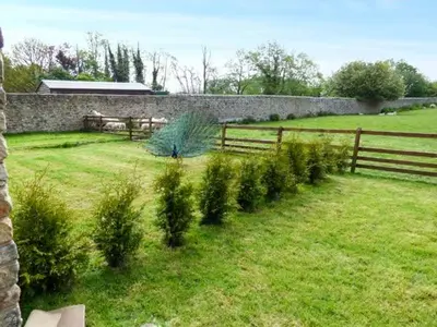 a group of bushes in a field next to a fence at Poppy Cottage in Lancaster