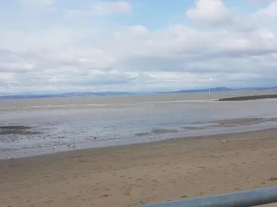 a beach with birds on the sand and water at Morecambe sea view apartment 203 in Morecambe