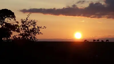 a sunset in a field with animals in the distance at Lunecliffe Country lodge-Lancaster Gateway to the Lakes in Lancaster
